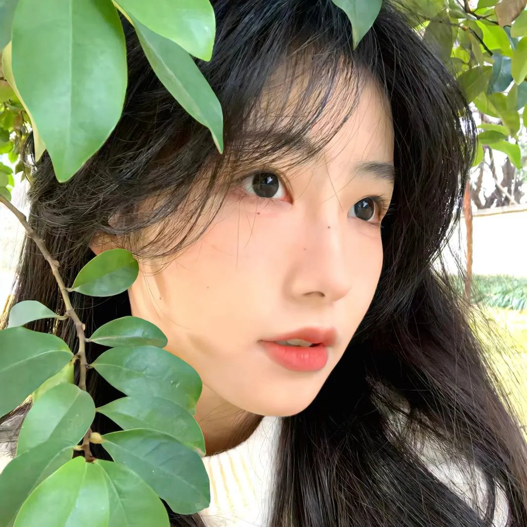 射月